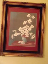 Framed James W Hicks  Print White Dogwood in Las Cruces, New Mexico