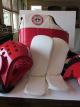 Tae Kwon Do Sparring Gear in Palatine, Illinois