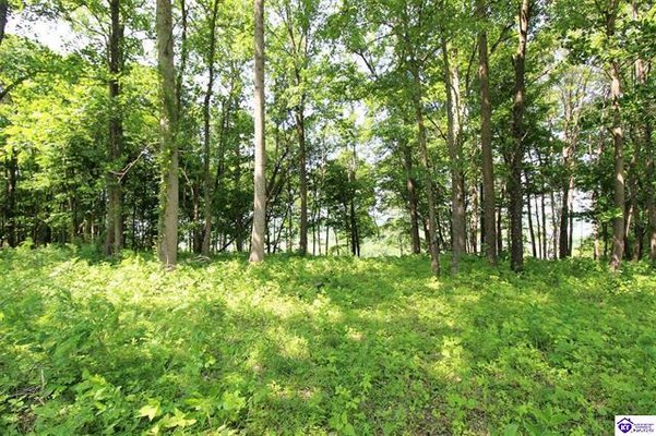River's Edge/River View Lot in REmilitary
